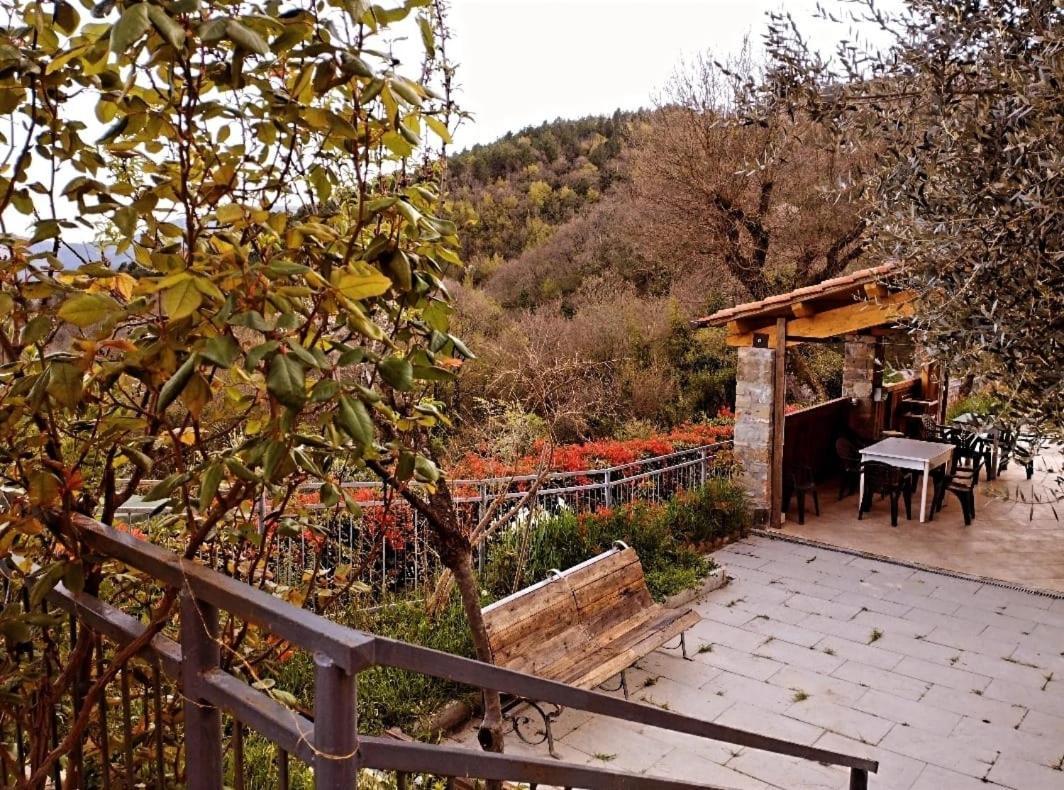 باربيرينو دي موجيلو Il Podere Di Massi المظهر الخارجي الصورة