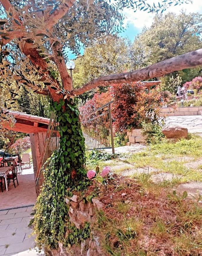 باربيرينو دي موجيلو Il Podere Di Massi المظهر الخارجي الصورة
