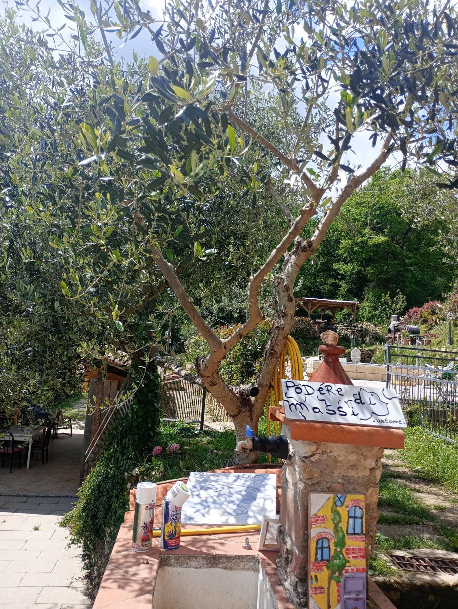 باربيرينو دي موجيلو Il Podere Di Massi المظهر الخارجي الصورة